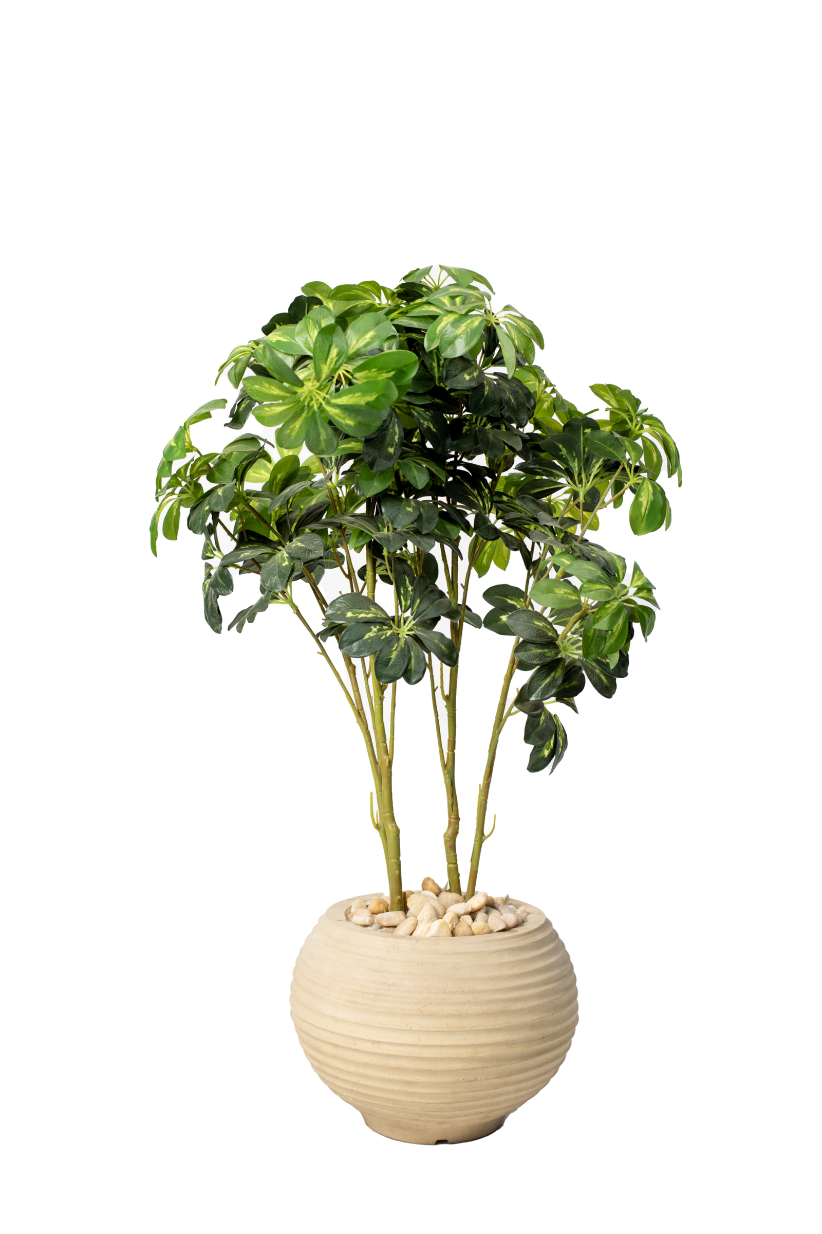Schefflera 90 cm Artificial Tree