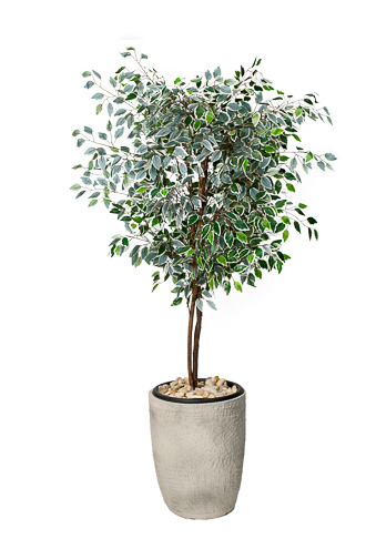 Amber Leaf Ficus Artificial Tree