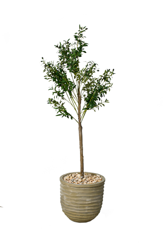 Zaytoona Artificial Tree 180cm