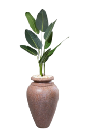 Augasta Artificial Tree 160cm