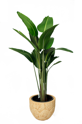 Augusta Grand Strelitzia Artificial tree 200 cm