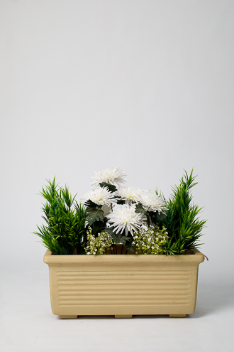 Divinity white Flora