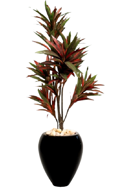 Cordy Cordyline Artificial Tree 160cm