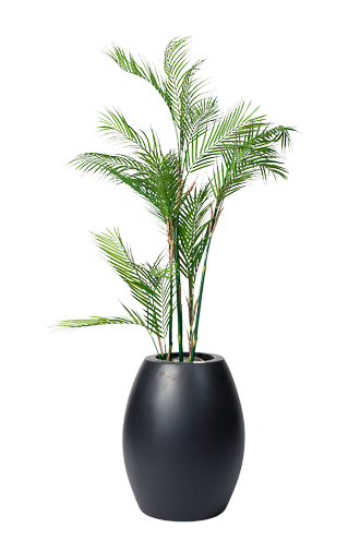 Effortless Areca Palm Artificial Tree 160 cm