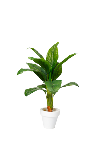 Evergreen Baphia Artificial Tree