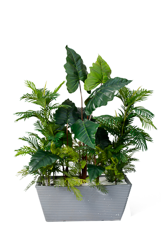 Evergreen Elegance planter