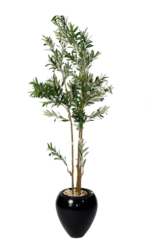 Evergreen Olive Artificial Tree