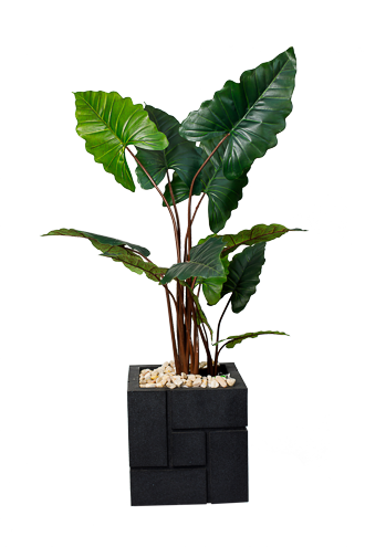 Exotic Red Alocasia Artificial Tree