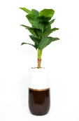 Fiddle Leaf Lover Artificial Tree 140cm
