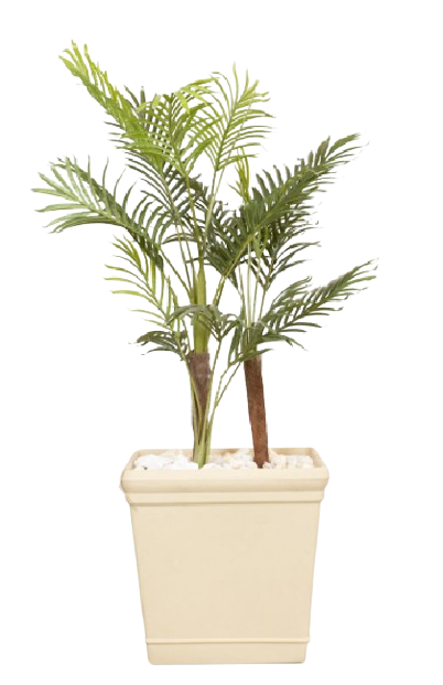 RO Evergreen Areca Artificial tree 160cm