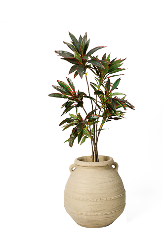 Grand Canopy Dracaena Artificial Tree