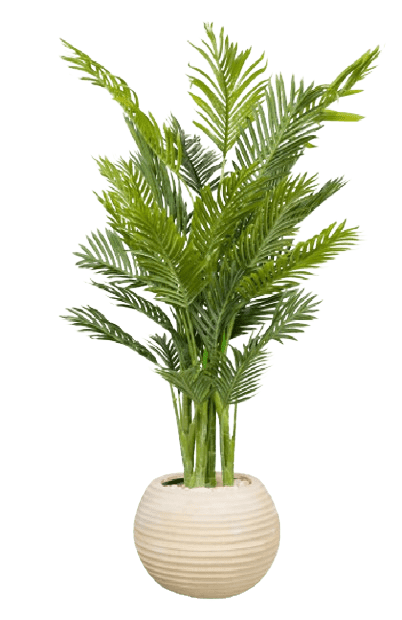 Kenya Areca Artificial Tree 120cm