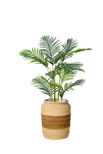 Luxe Kentia Artificial Tree