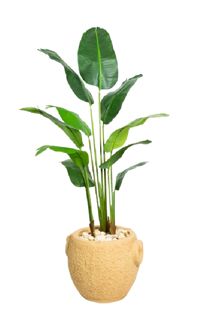 Royal Bannana Artificial Tree 180cm PO