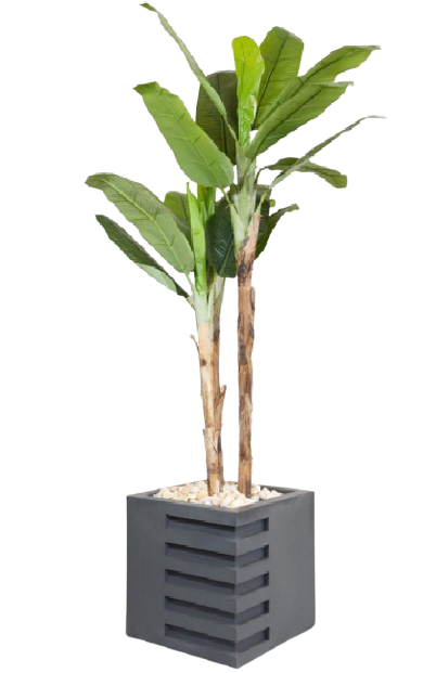 Tropical Bannana Artificial Tree 180cm