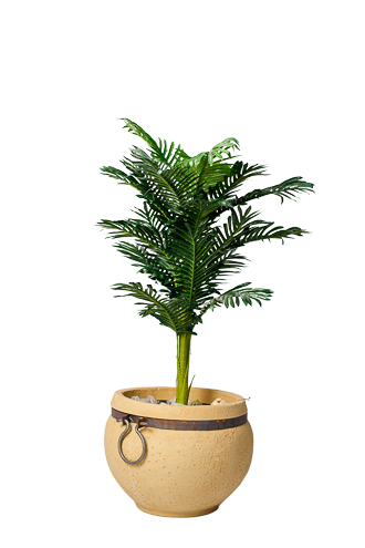 Paradise Areca Artificial Tree