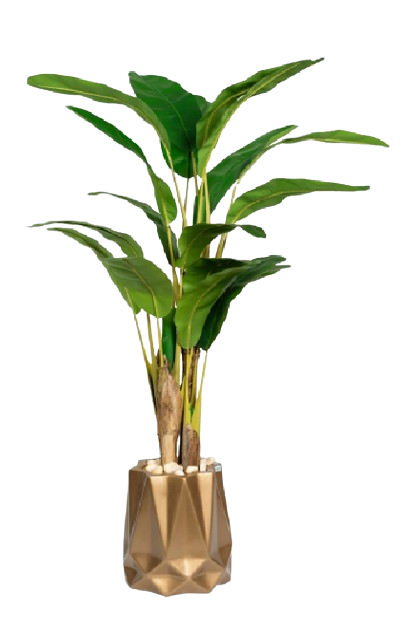 Tropic Bannana Artificial Tree 180cm