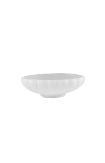 Antionus Shrub tree pot