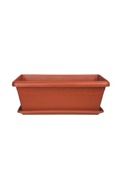 Rectangular Khorshed Tree pot