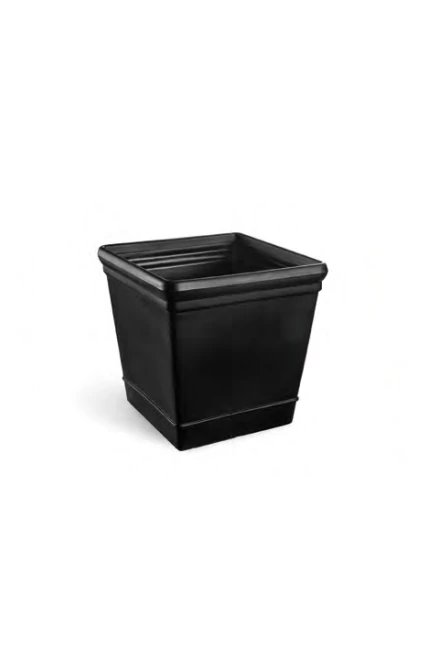 Rosa square tree pot