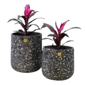 Sia small Tree pot