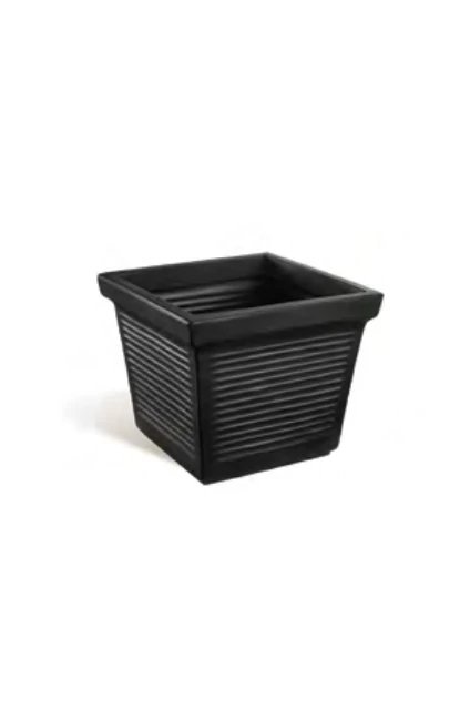 Square Roman Classic PE