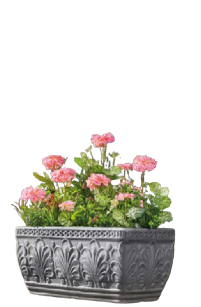 zahwa rectangular tree pot