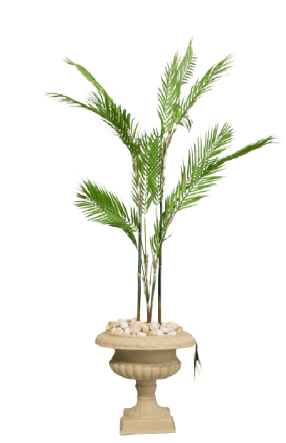 Miro Palmly Chamaedorea Artifical tree 180cm