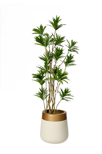 RealWood Dracaena Artificial Tree