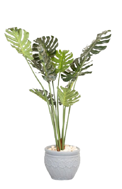 Monstera Artificial tree 150cm