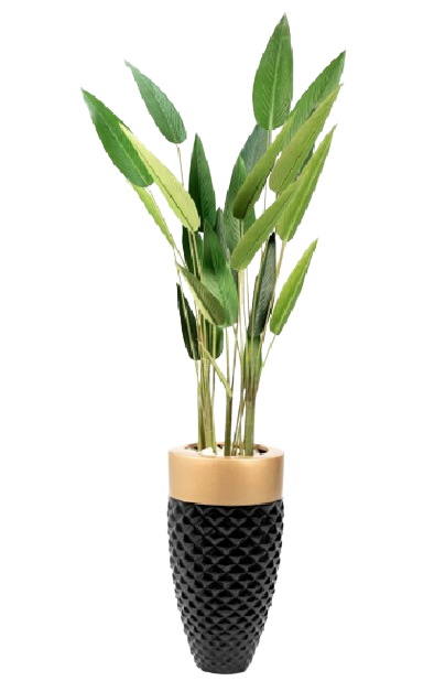 GRP Strelitzia Nicolai Artificial Tree 180cm