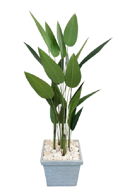 Roman Strelitzia Nicolai Artificial Tree 180cm