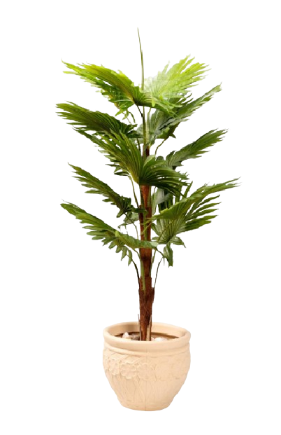 Fan Palm Artificial tree 180cm