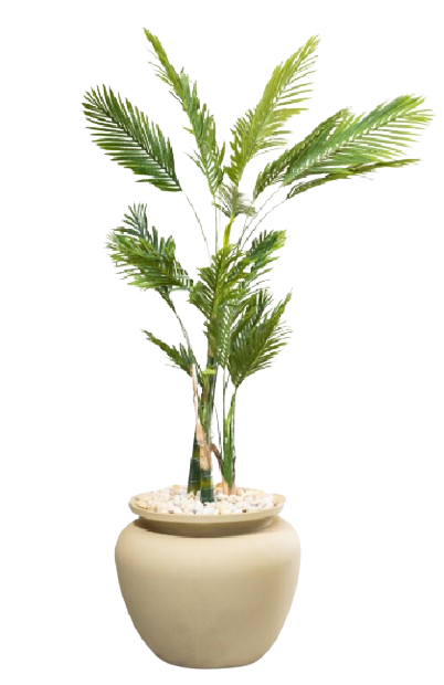 GO Madgashker Areca Artificial Tree 250 cm