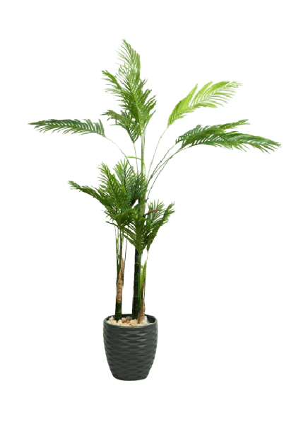 Madgashker Areca Artificial Tree 250 cm