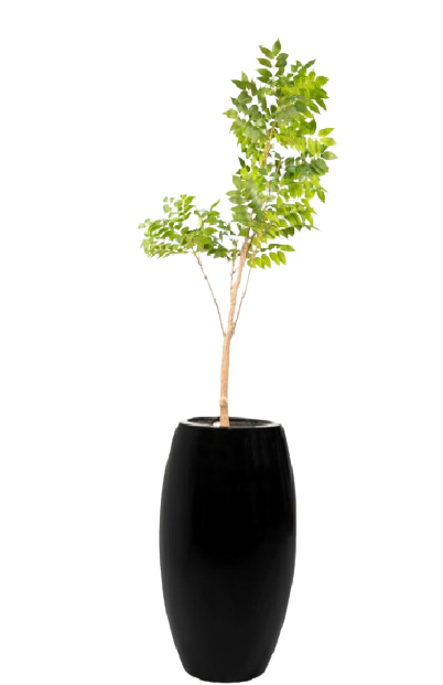 Little Greenie Artificial Tree 140cm