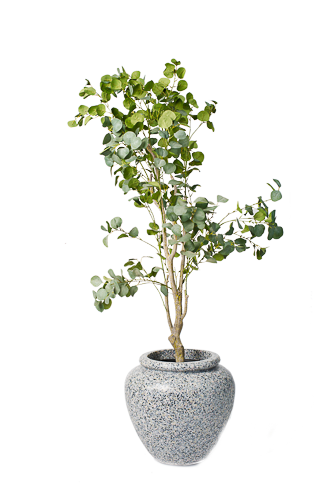 Zen Eucalyptus Artificial Tree